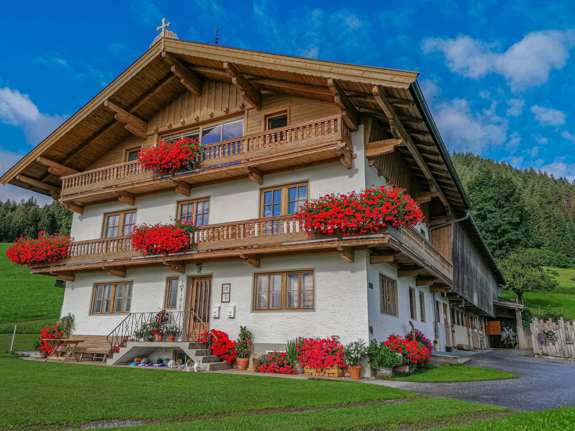 Flicklhof Xl Apartment Hopfgarten im Brixental Exterior photo